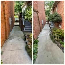 Concrete Cleaning 17