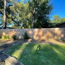 Staining Gallery 18