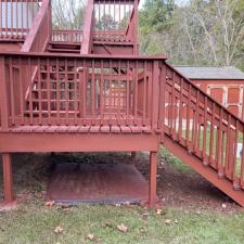 Staining Gallery 33