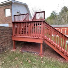 Staining Gallery 35