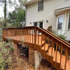 Staining Gallery 40