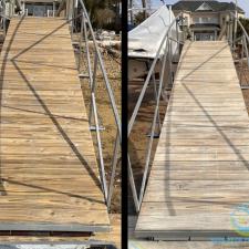 Dock Staining 3