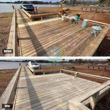 Dock Staining 4
